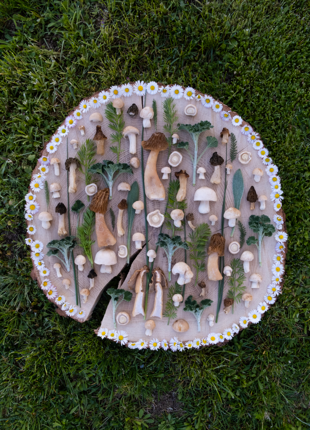 Fineart Print "Bohemian Verp"