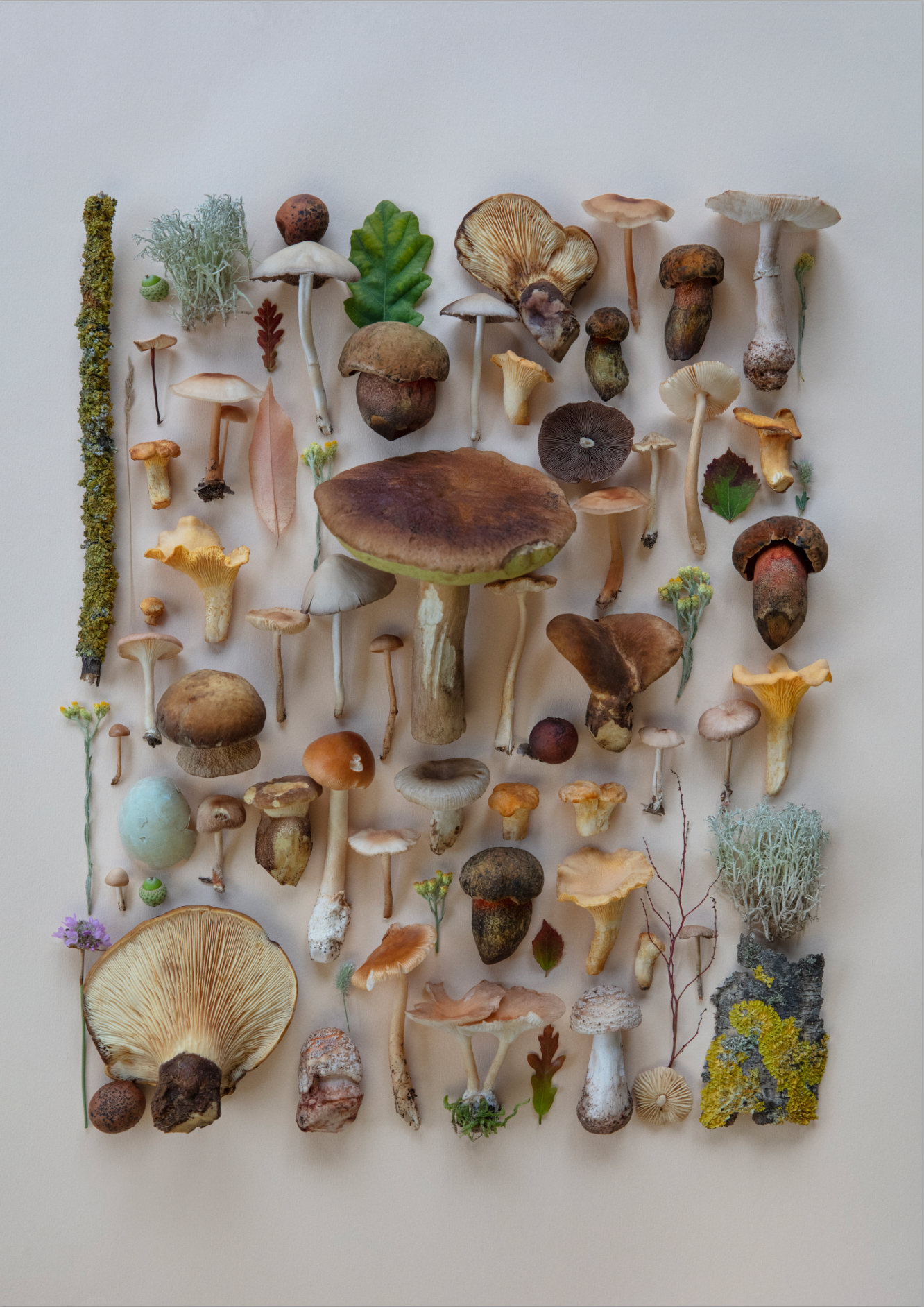 Fineart Print "Zeuthen Randomness"