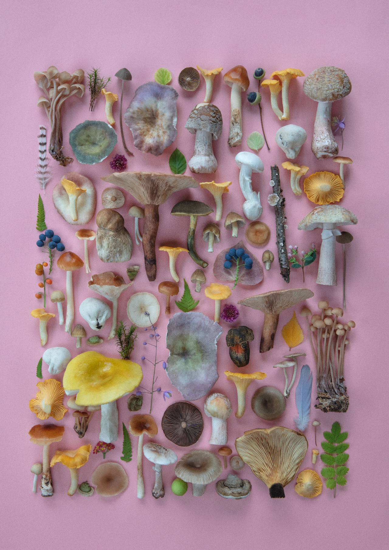 Fineart Print "ZH_Summer Edition"