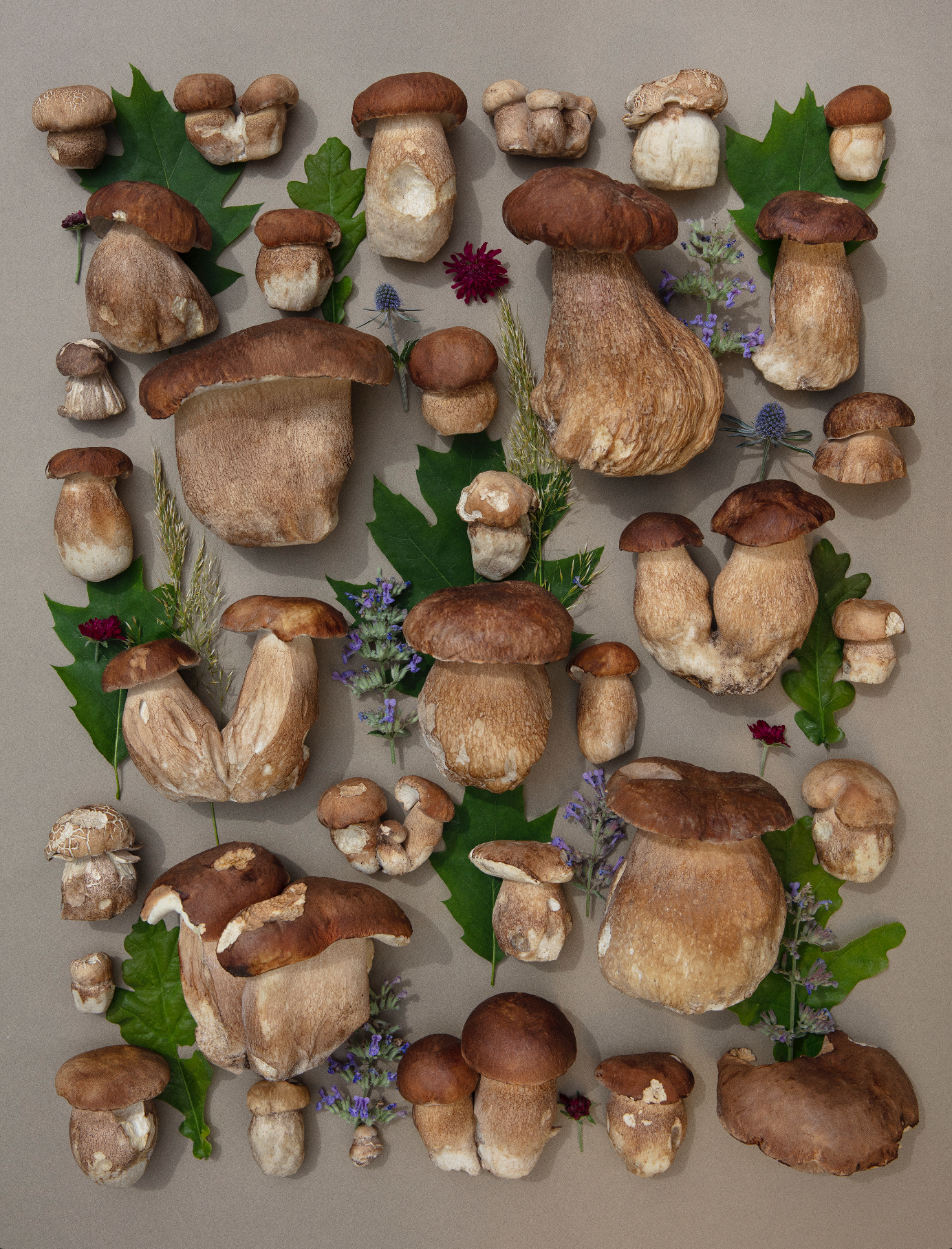 Fineart Print "Sommersteinis"