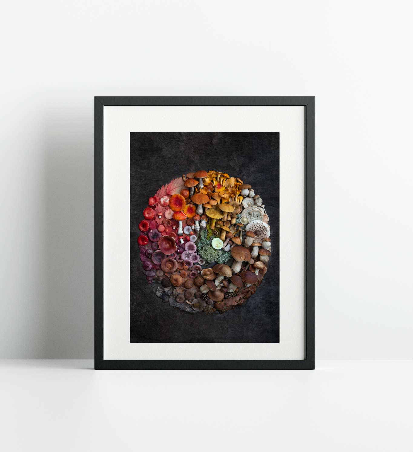 Finart Print "Perfect Circle"