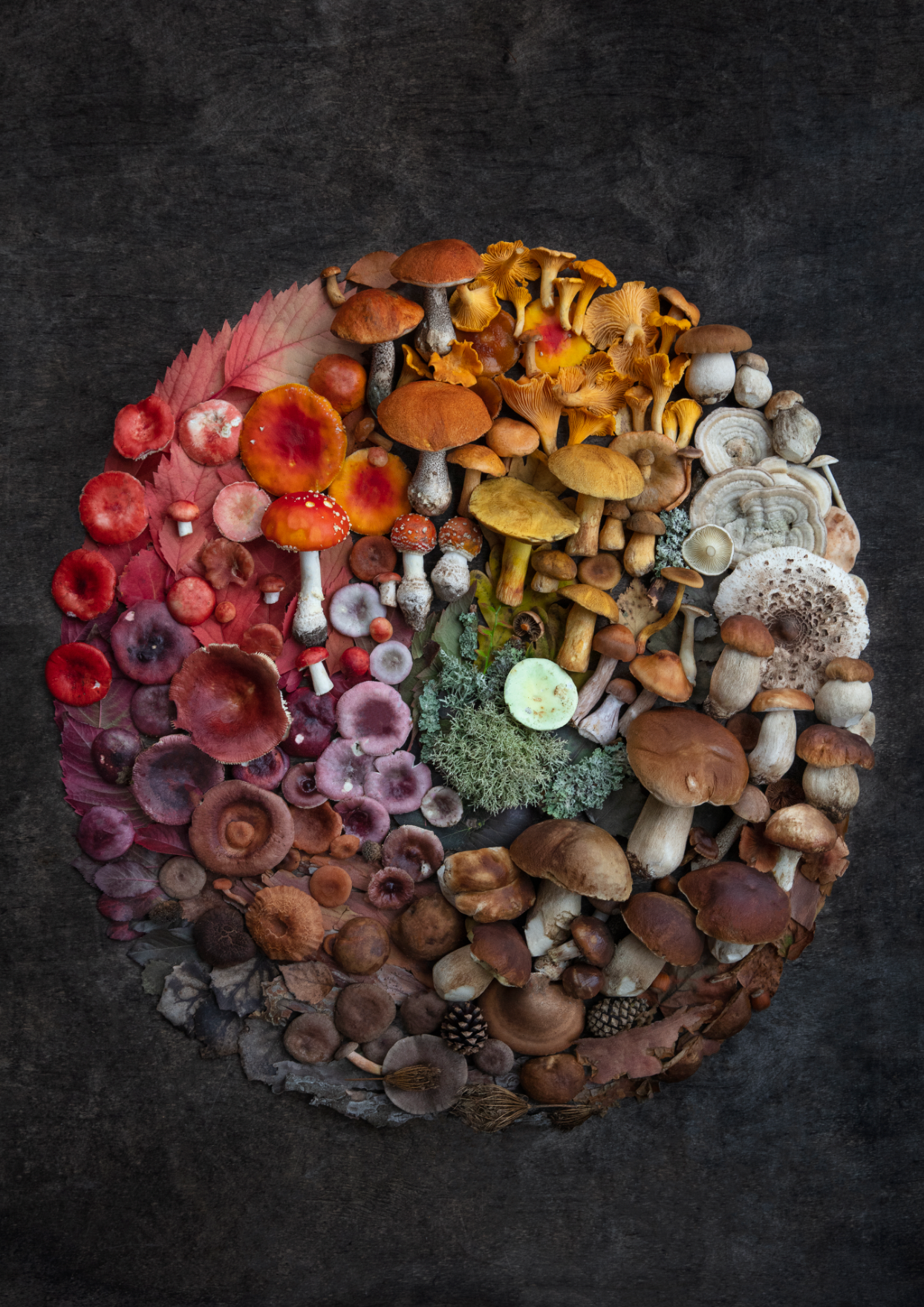 Finart Print "Perfect Circle"