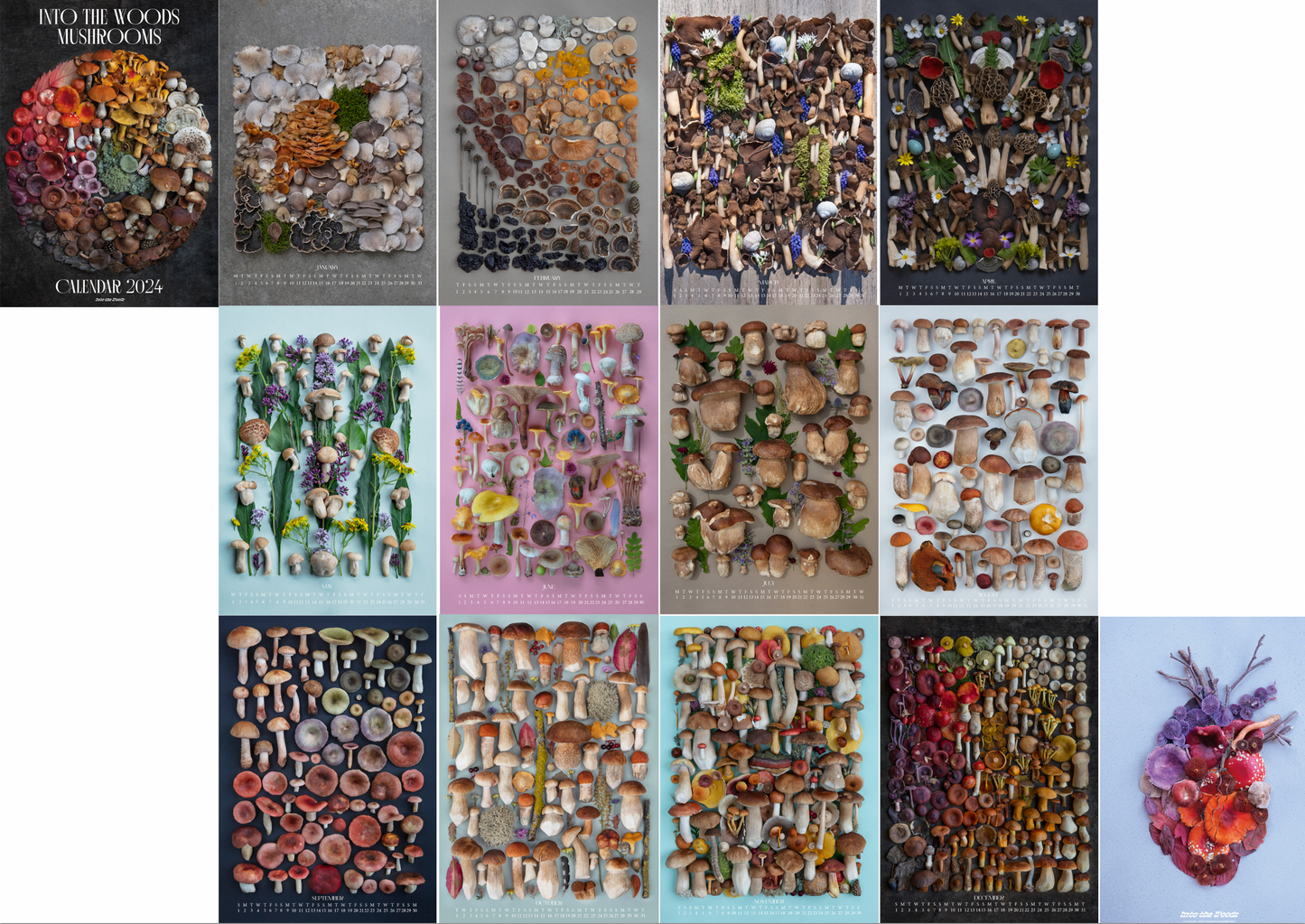 Fineart Kalender 2024