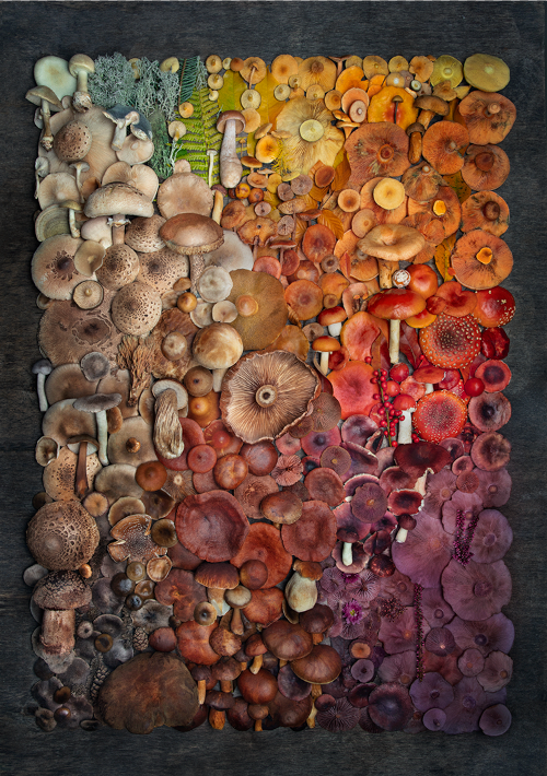 Finart Print "Domalicemirimori"