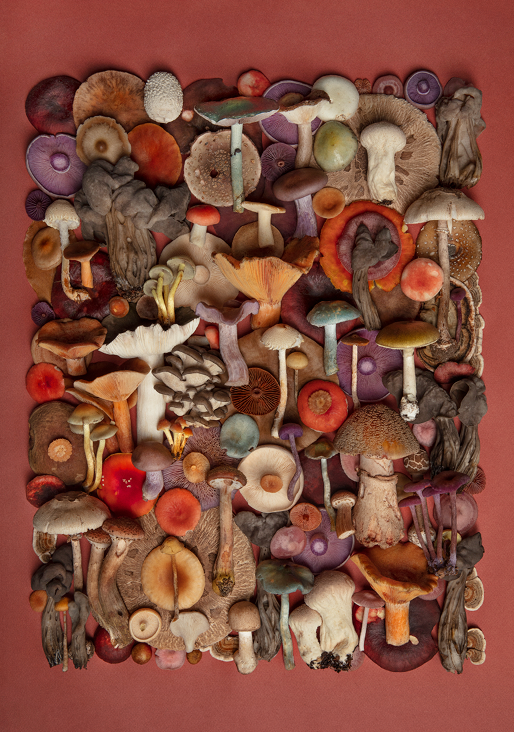 Finart Print "Späti_Mädness"