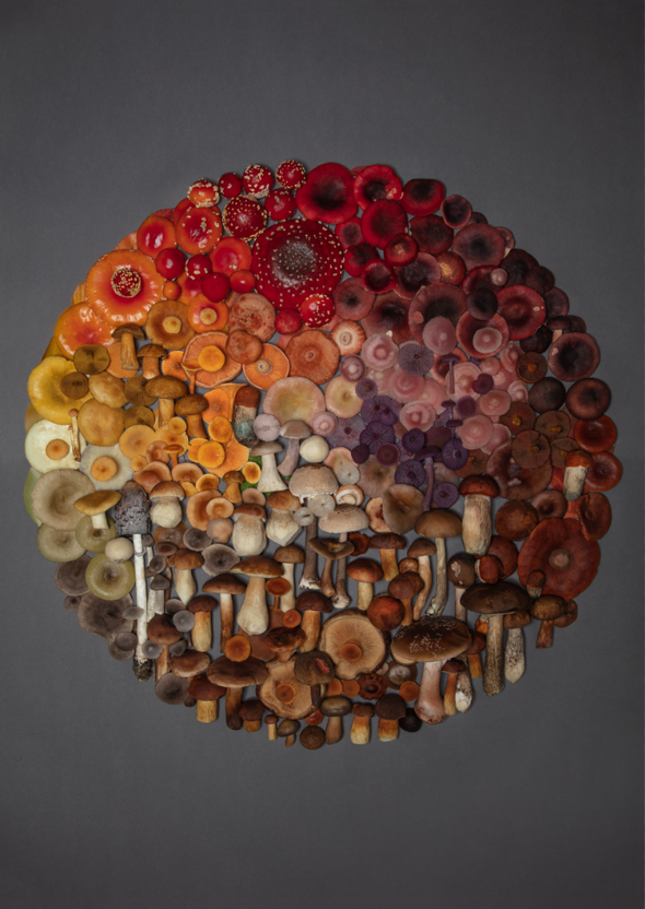 Finart Print "Full Circle2"