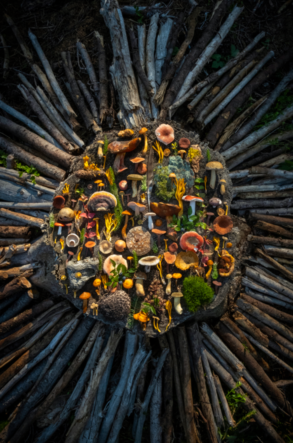 Finart Print "Waldaltar"