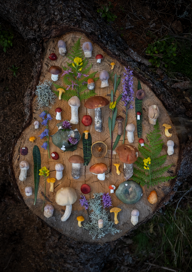 Finart Print "Reifpilze"