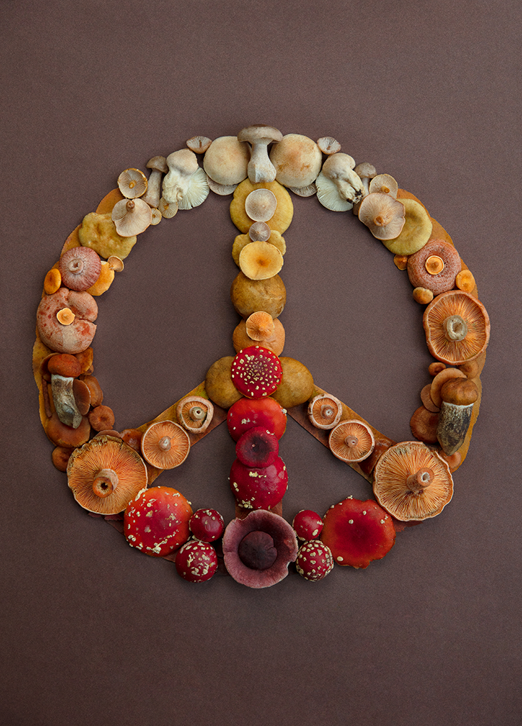 Fineart Print "67" PEACE