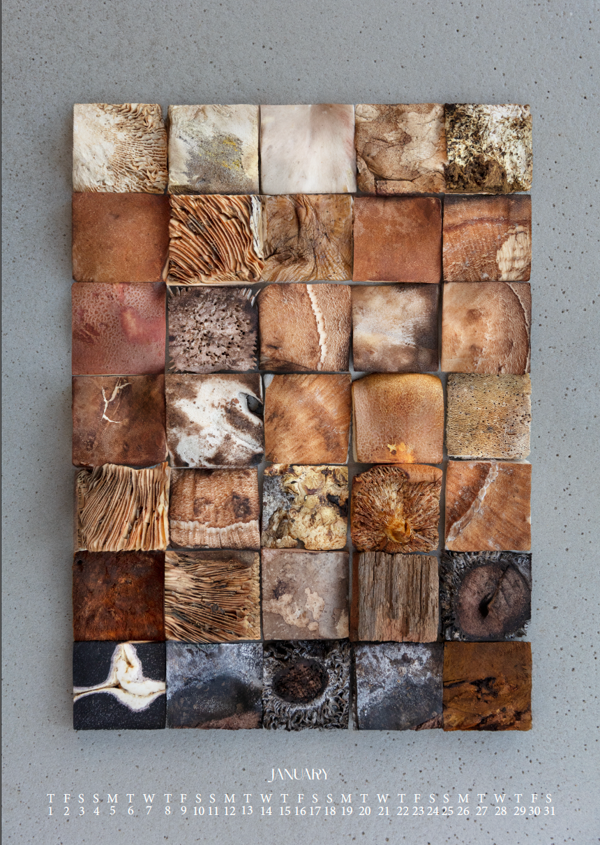 Fineart Kalender 2026