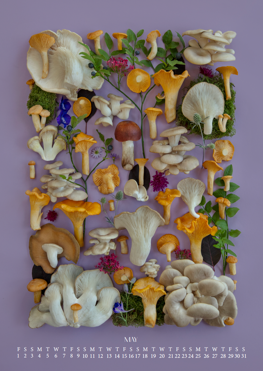 Fineart Kalender 2026