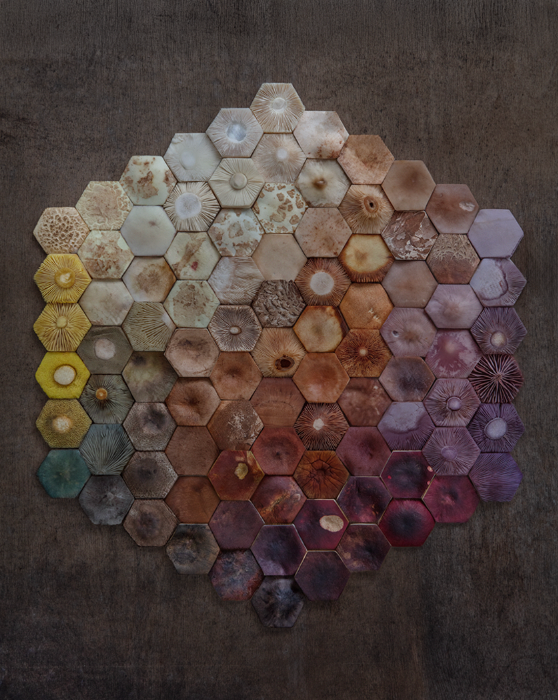 Fineart Print Hexagon 97