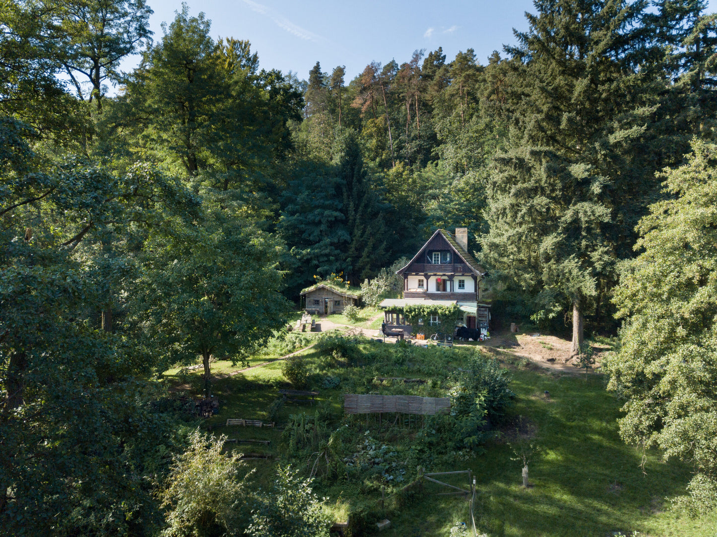 Pilze sammeln und Glück finden: Retreat in der Märkischen Schweiz/ Buckow vom 05.-07.09.2025