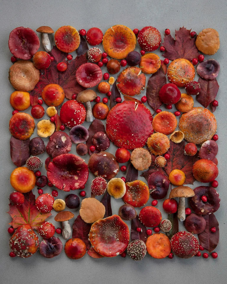 Fineart Print "All Red"