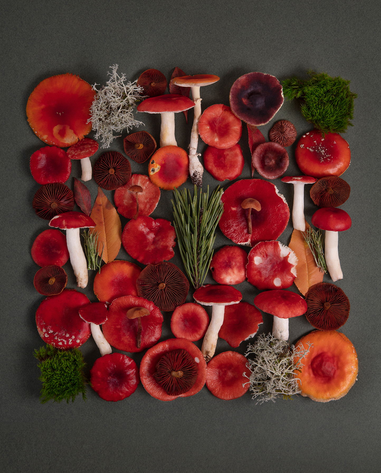 Fineart Print "Red & Green"