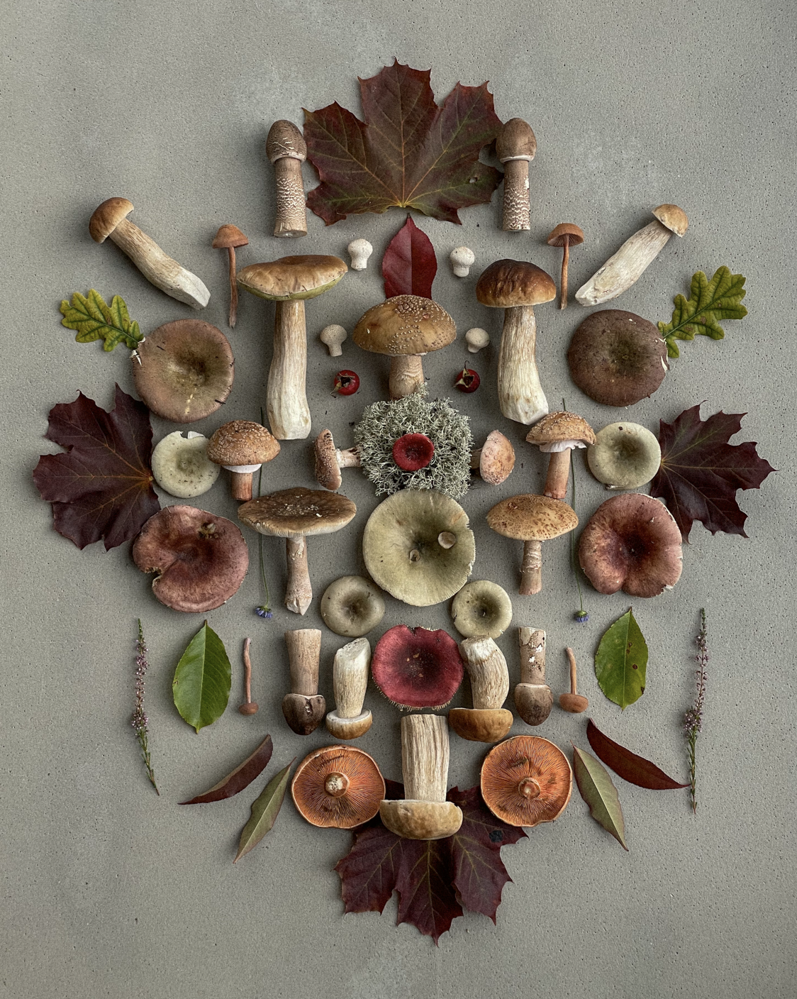 Fineart Print "Moss Mandala"