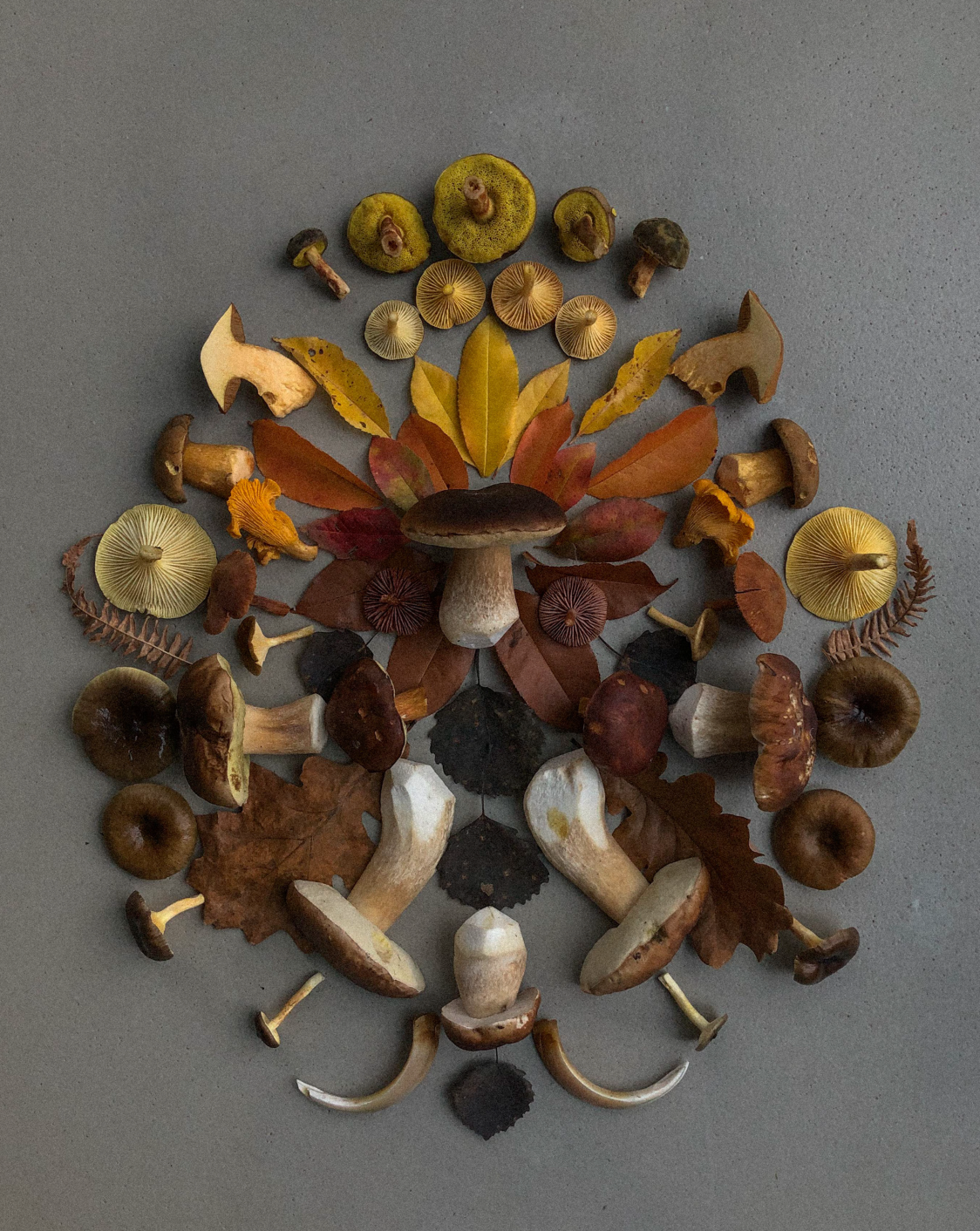 Fineart Print "Boar"