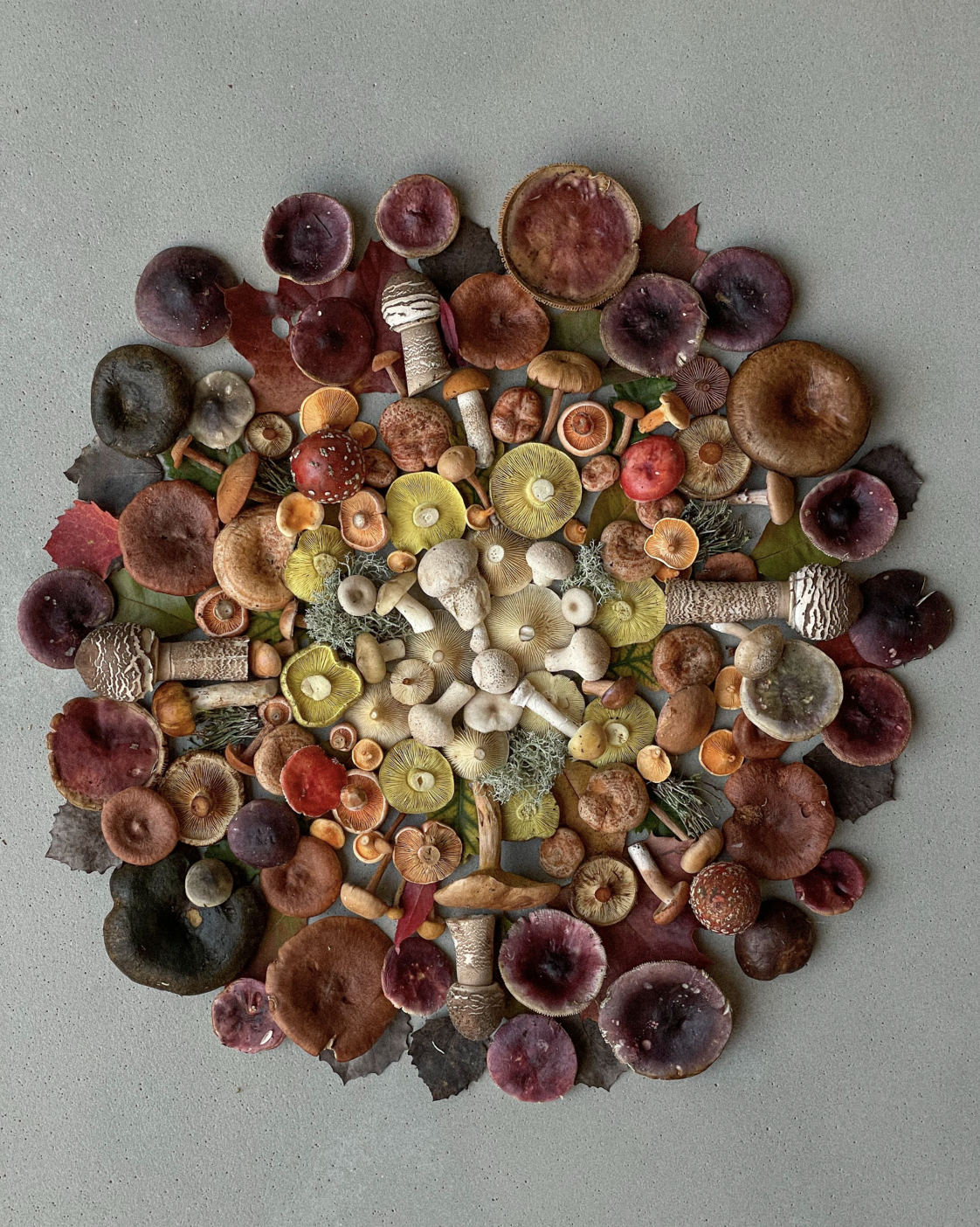 Fineart Print "Mandala Edition No.1"