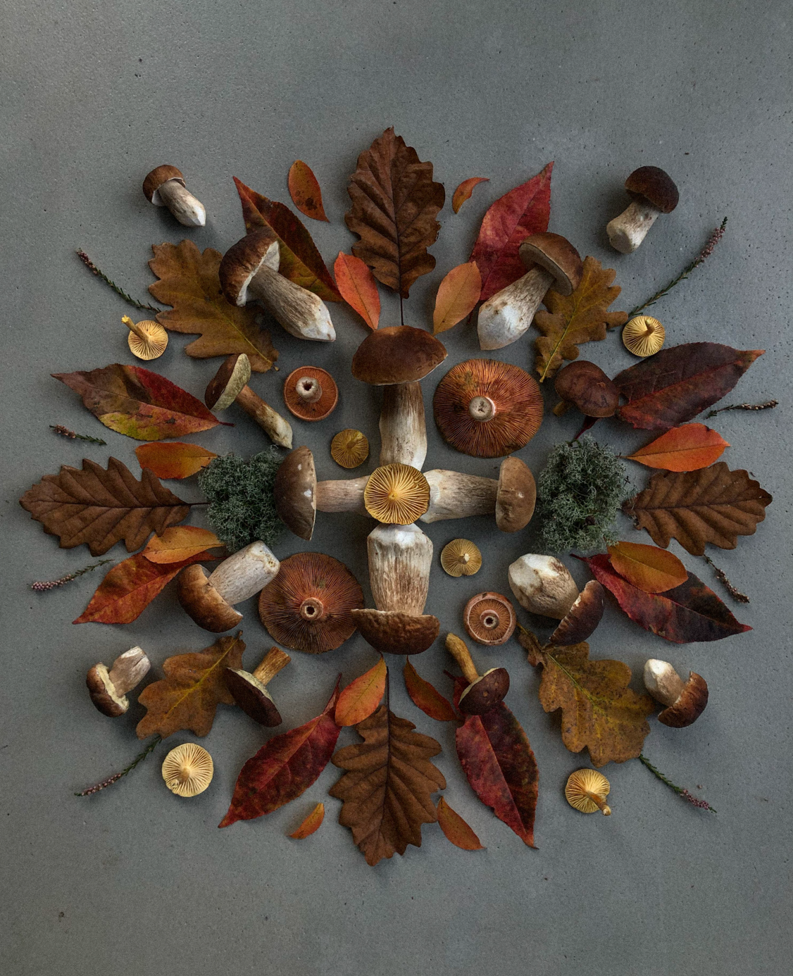 Fineart Print "Mandala Edition No.2"