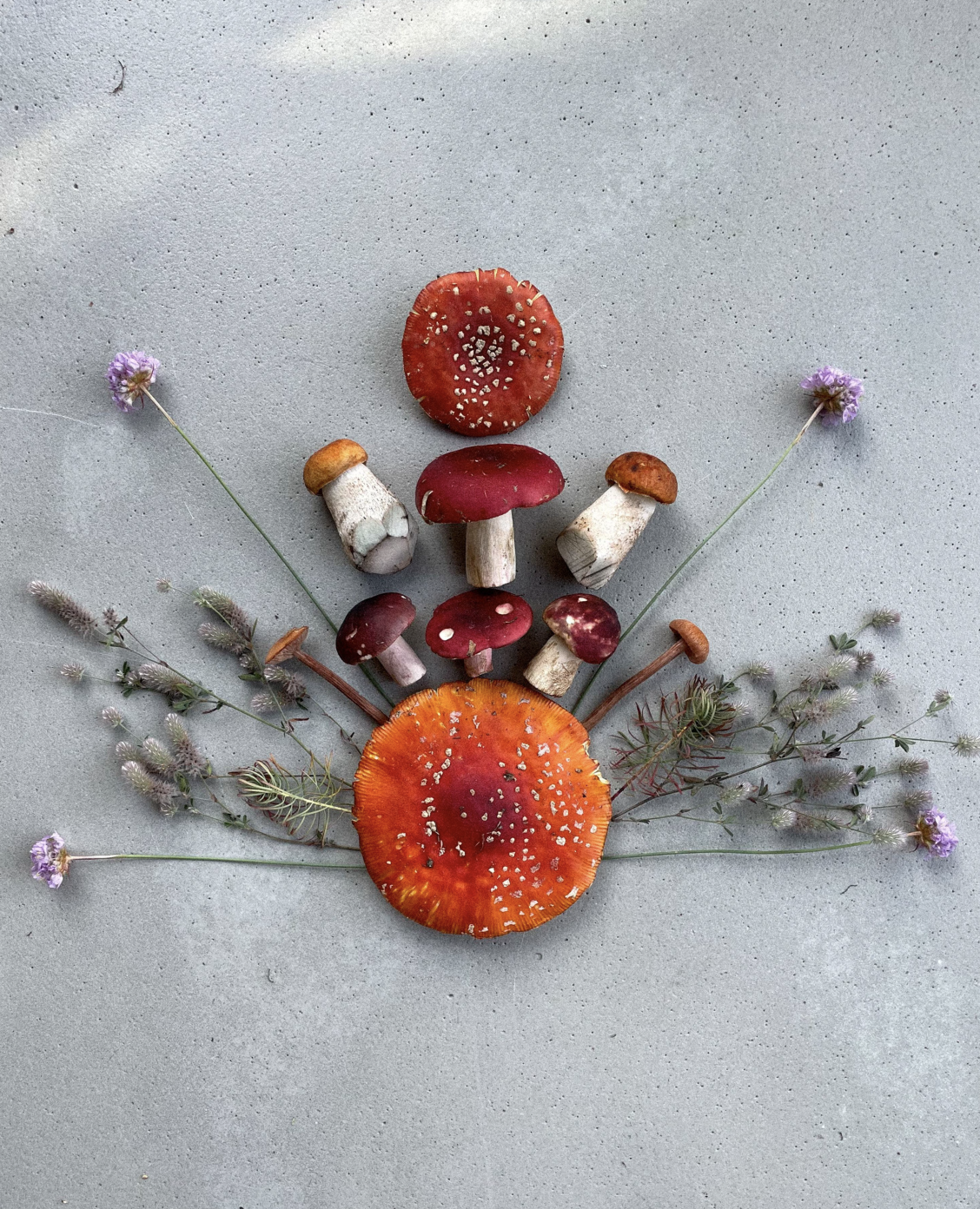 Fineart Print "<Mandala Edition No.14"