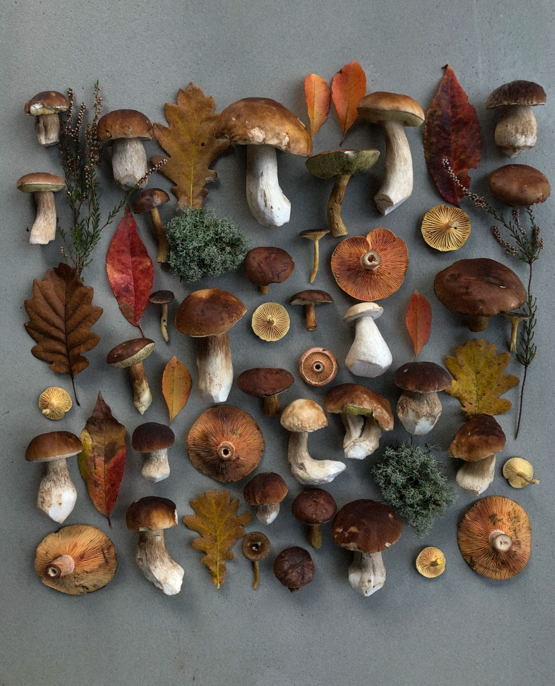 Fineart Print "Autumn 01"