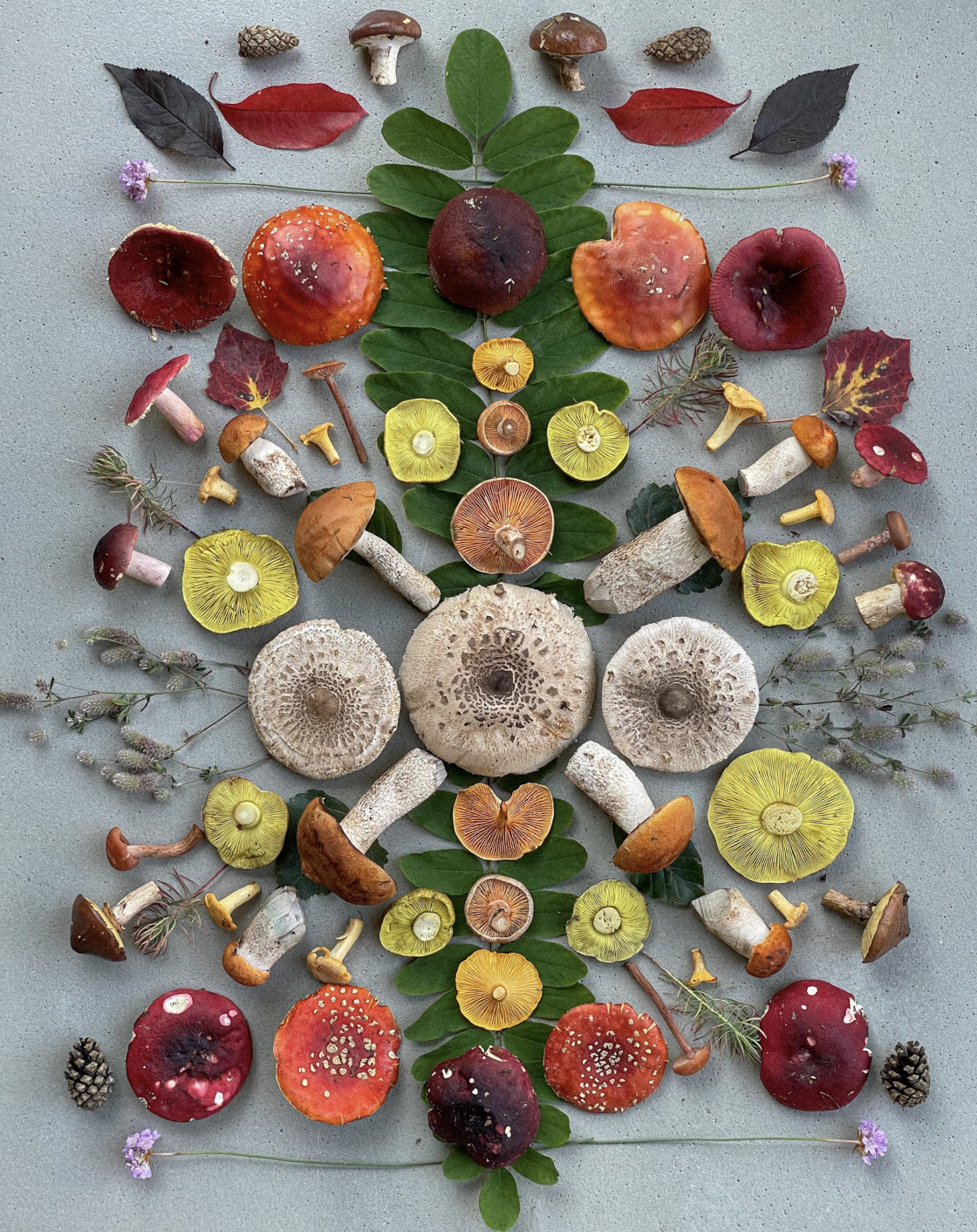 Fineart Print "Mandala Colour Edition"