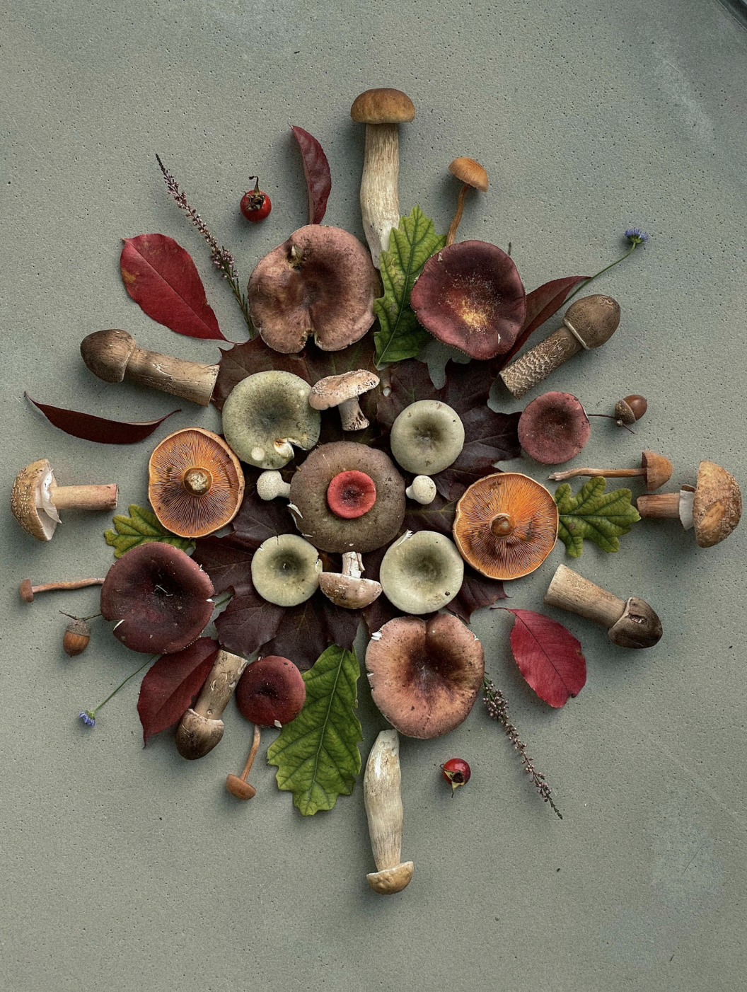 Fineart Print "Mandala Edition No.4"