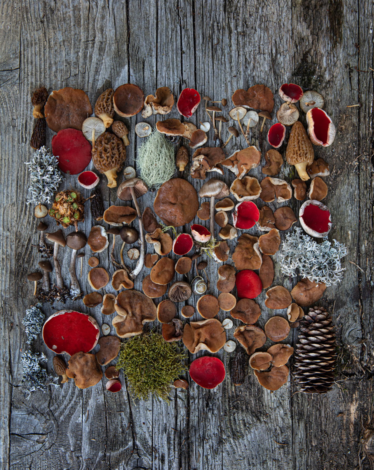 Fineart Print "Marteria Graubünden"