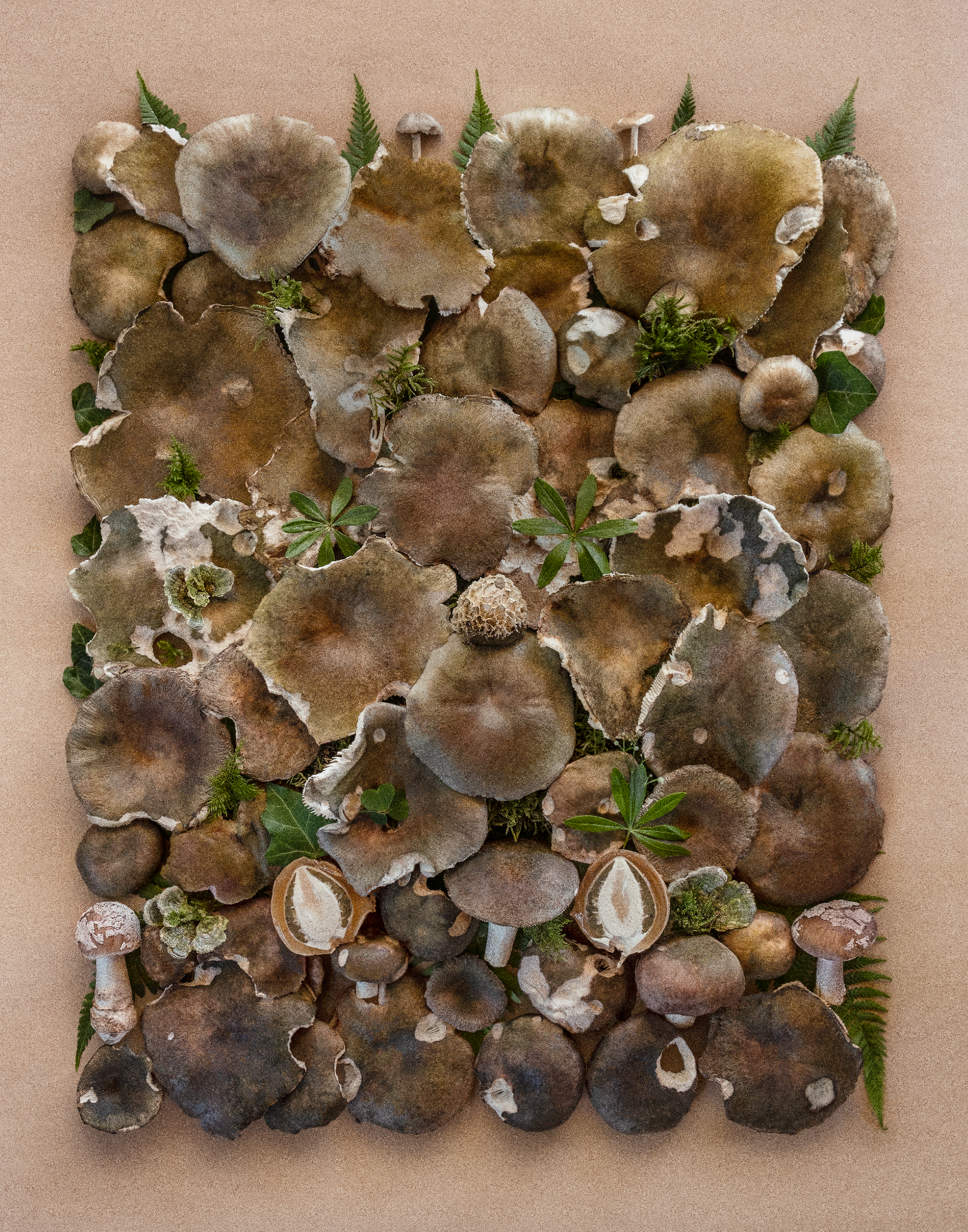 Fineart Print "Schwarzwald Green"