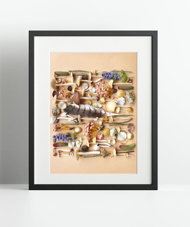 Fineart Print "Baltersweil Feather"