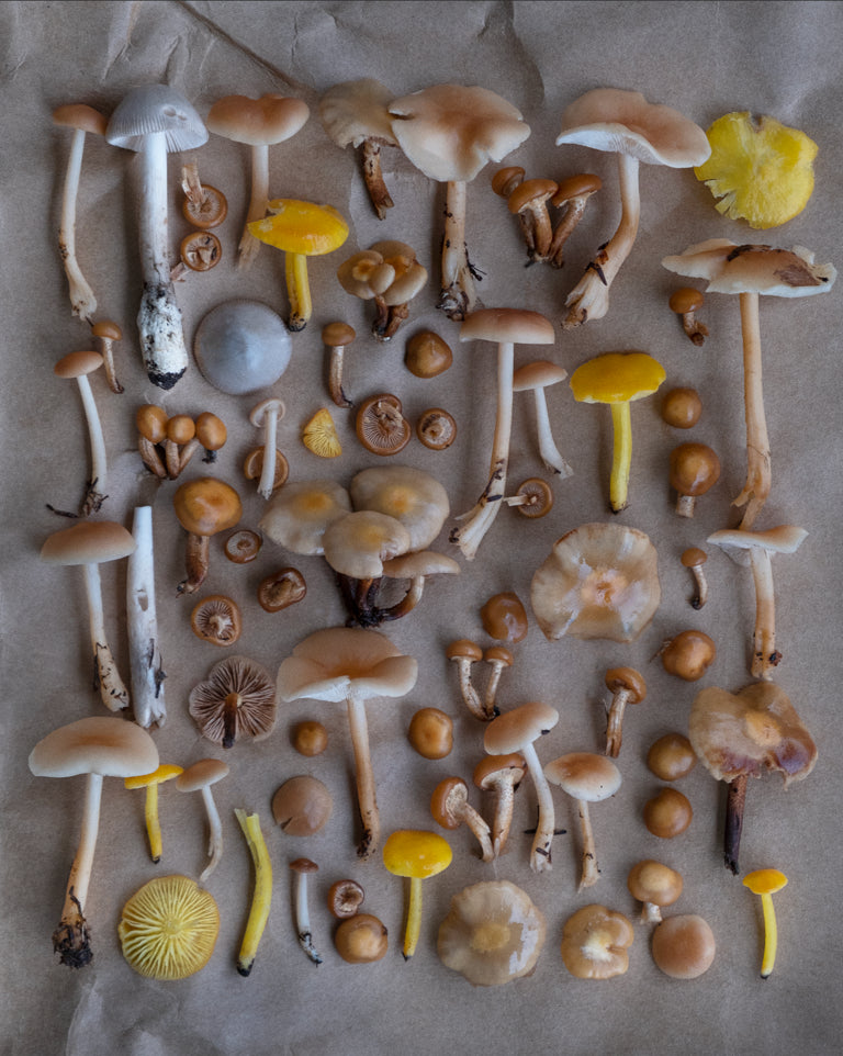 Fineart Print "Norway No.1"