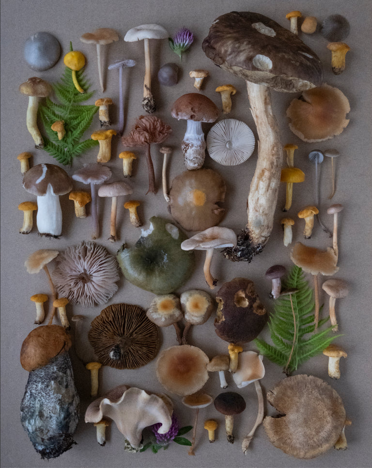 Fineart Print "Norway No.2"