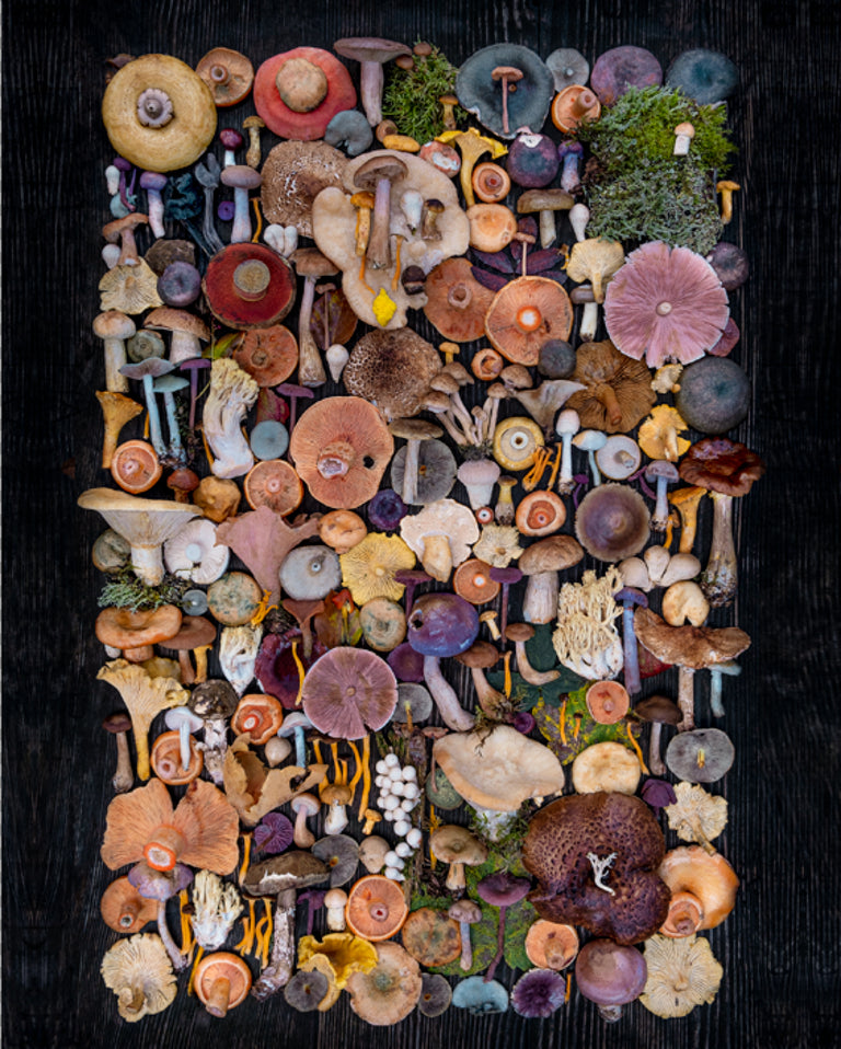 Fineart Print "Marteria"