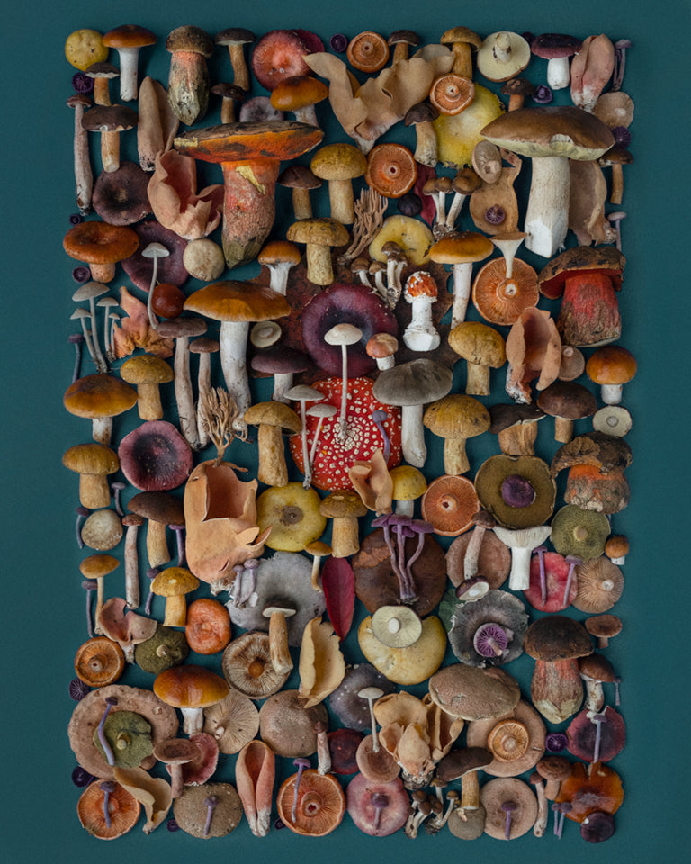 Fineart Print "Zeuthener Heide"