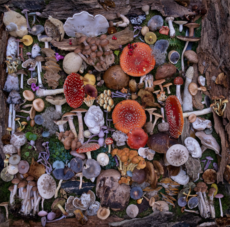 Fineart Print "Fkars"