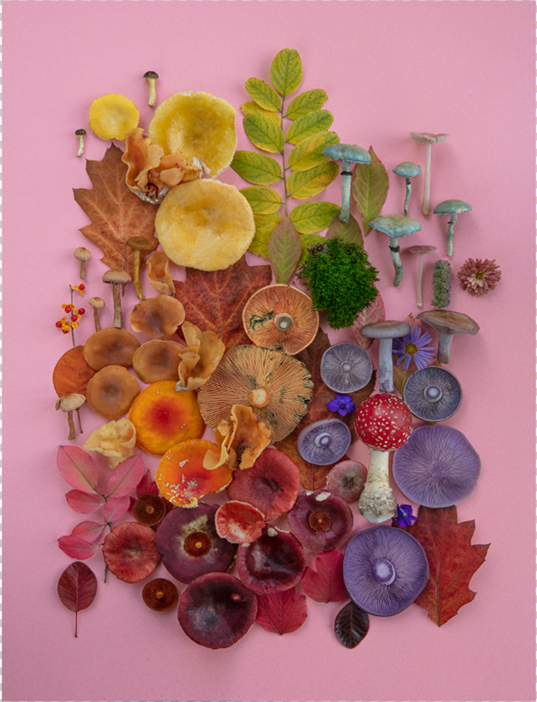 Fineart Print "Flatlay TS"