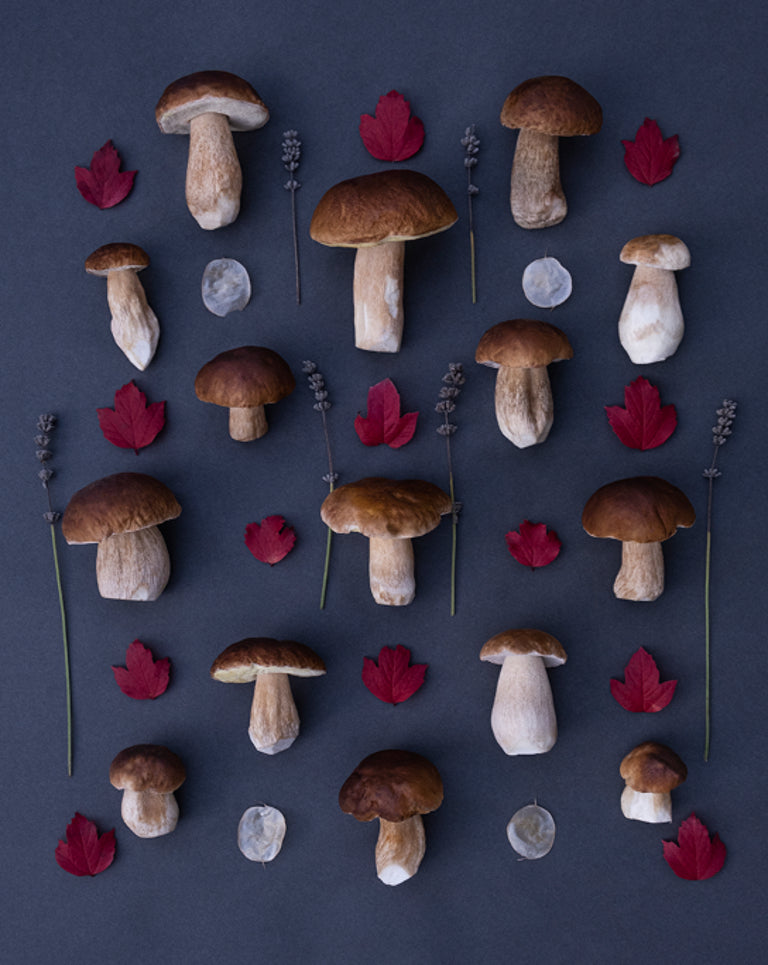 Flatlay "Pattern No.1"