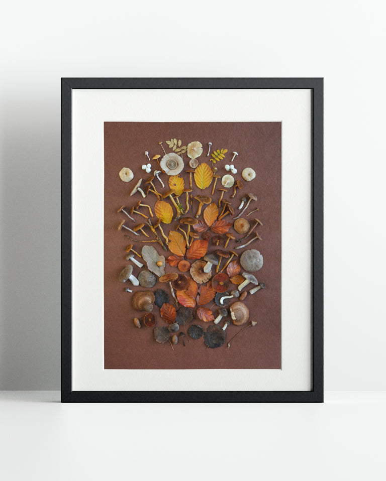 Flatlay "letzte Heide"