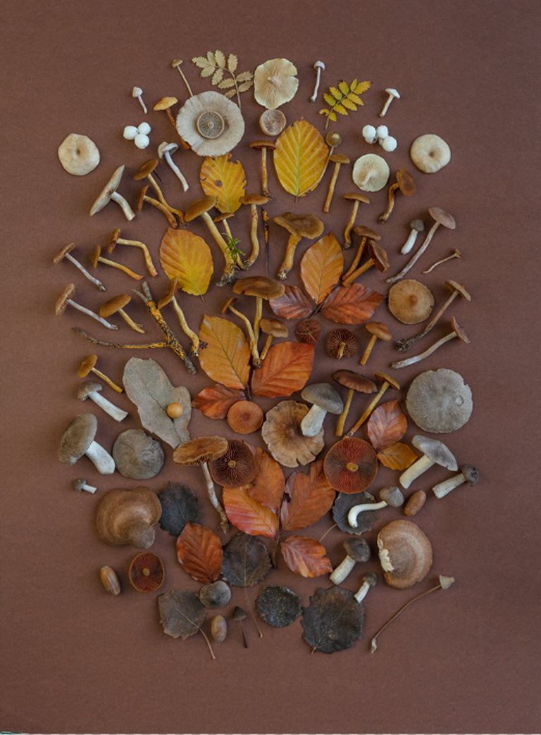 Flatlay "letzte Heide"