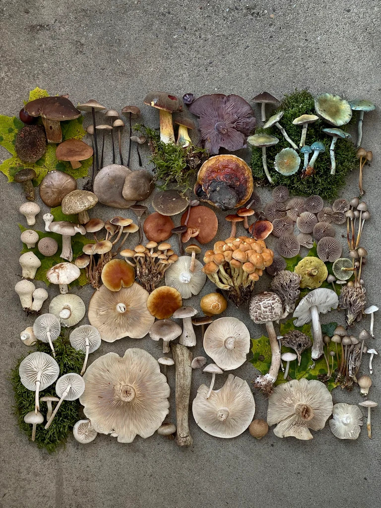 Fineart Print "Baltersweil Concrete"