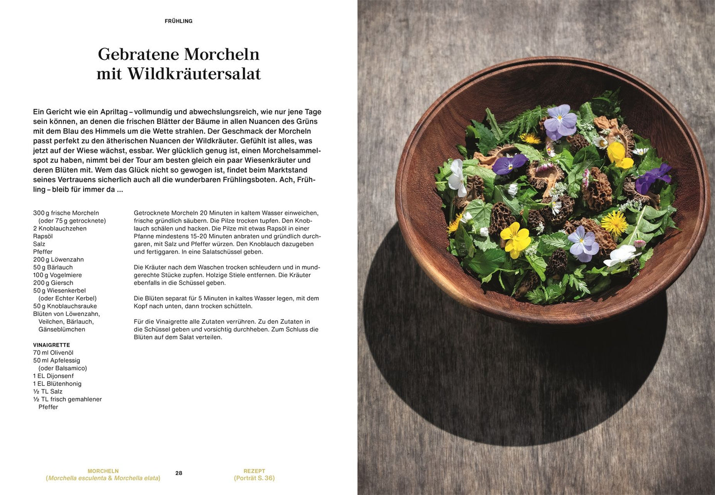Pilze, Pilze, Pilze- Vegetarische Pilzküche & Artenvielfalt für das ganze Jahr
