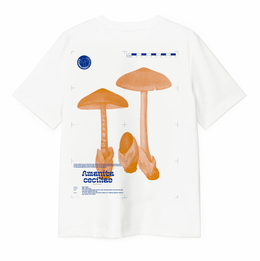 Mushroom Shirt "Amanita Cecilae "// Into the Woods- Find and Seek