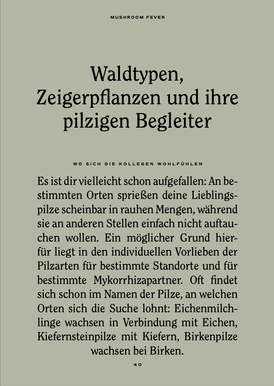Buch - MUSHROOM FEVER
