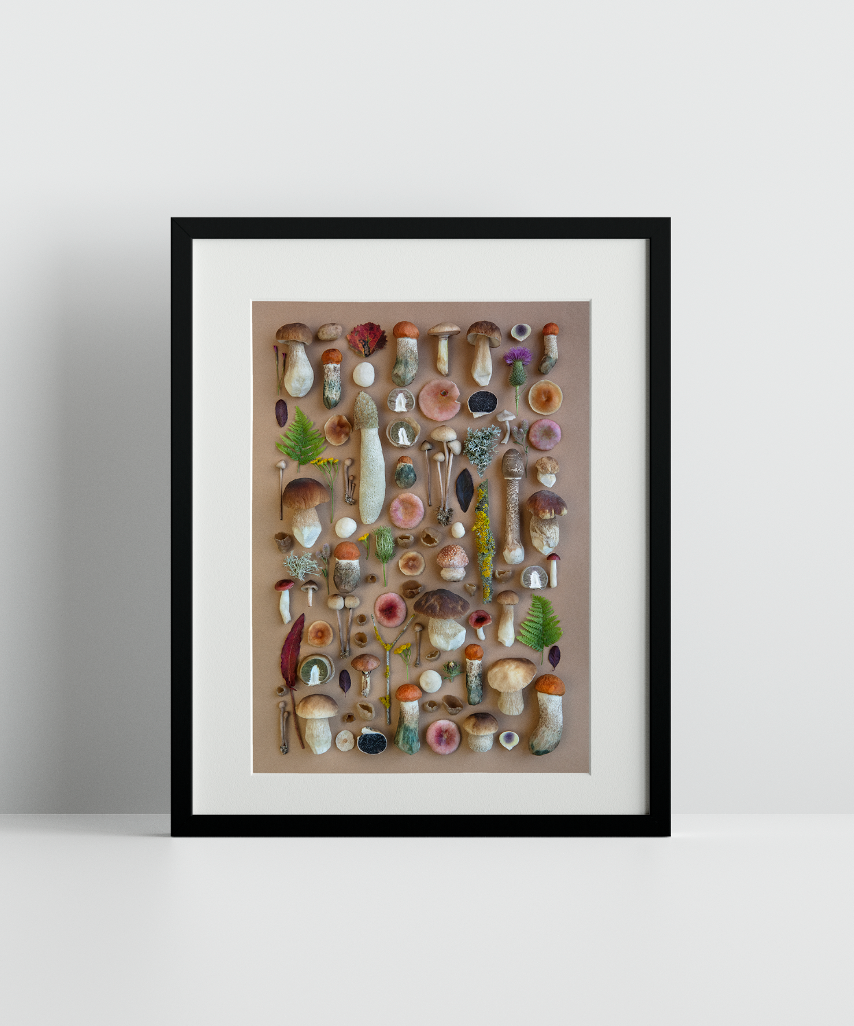 Fineart Print "66"