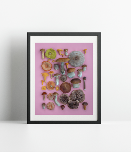 Fineart Print Last Call 99