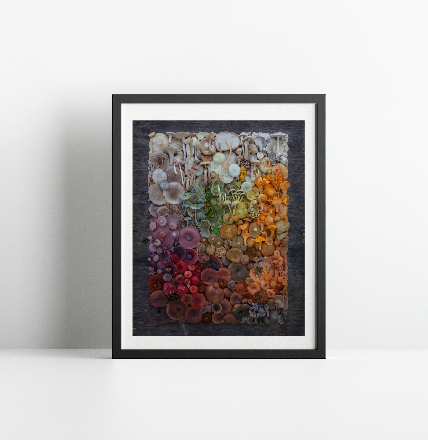 Fineart Print Grande Finale 98