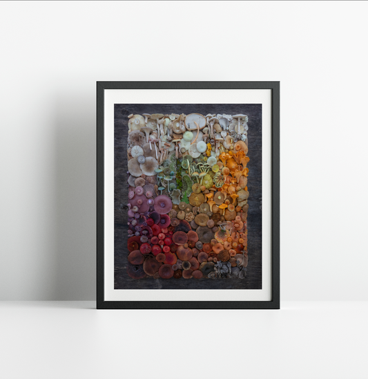 Fineart Print Grande Finale 98