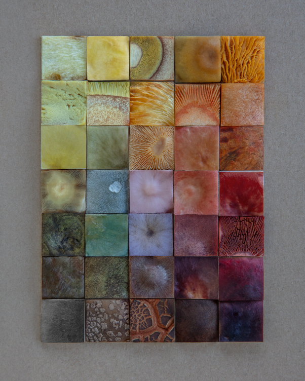 Fineart Print Mosaik Fading 95