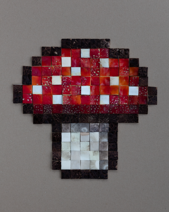 Fineart Print Amanita Amanita 96