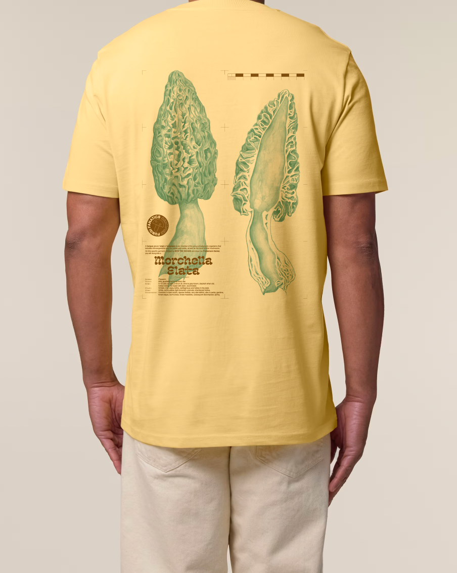 Mushroom Shirt "Morel "// Into the Woods- Find and Seek Petrol // Viva Yellow